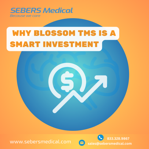 Unlocking Profitability in TMS: Why Blossom TMS is a Smart Investment