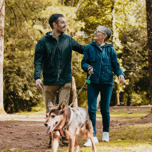 protocoles TMS efficaces